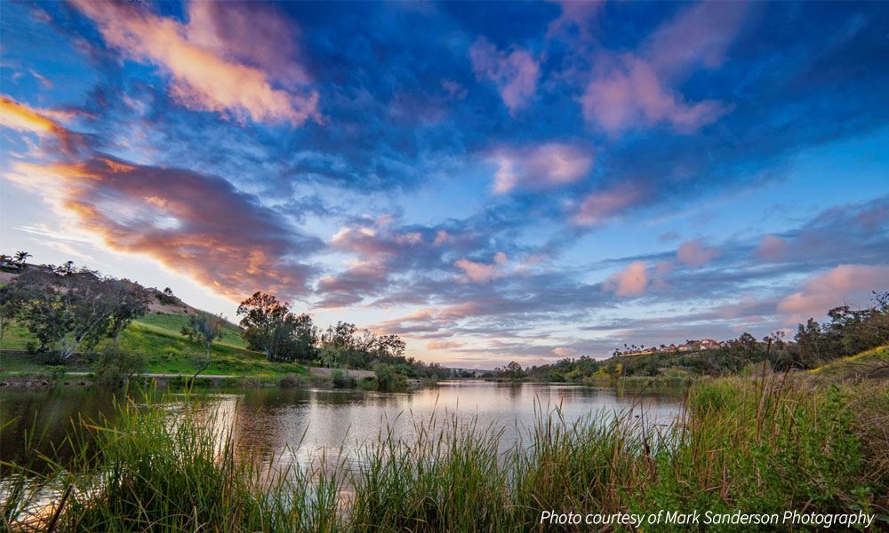 Wetland Laguna Niguel - Mark Sanderson Photography