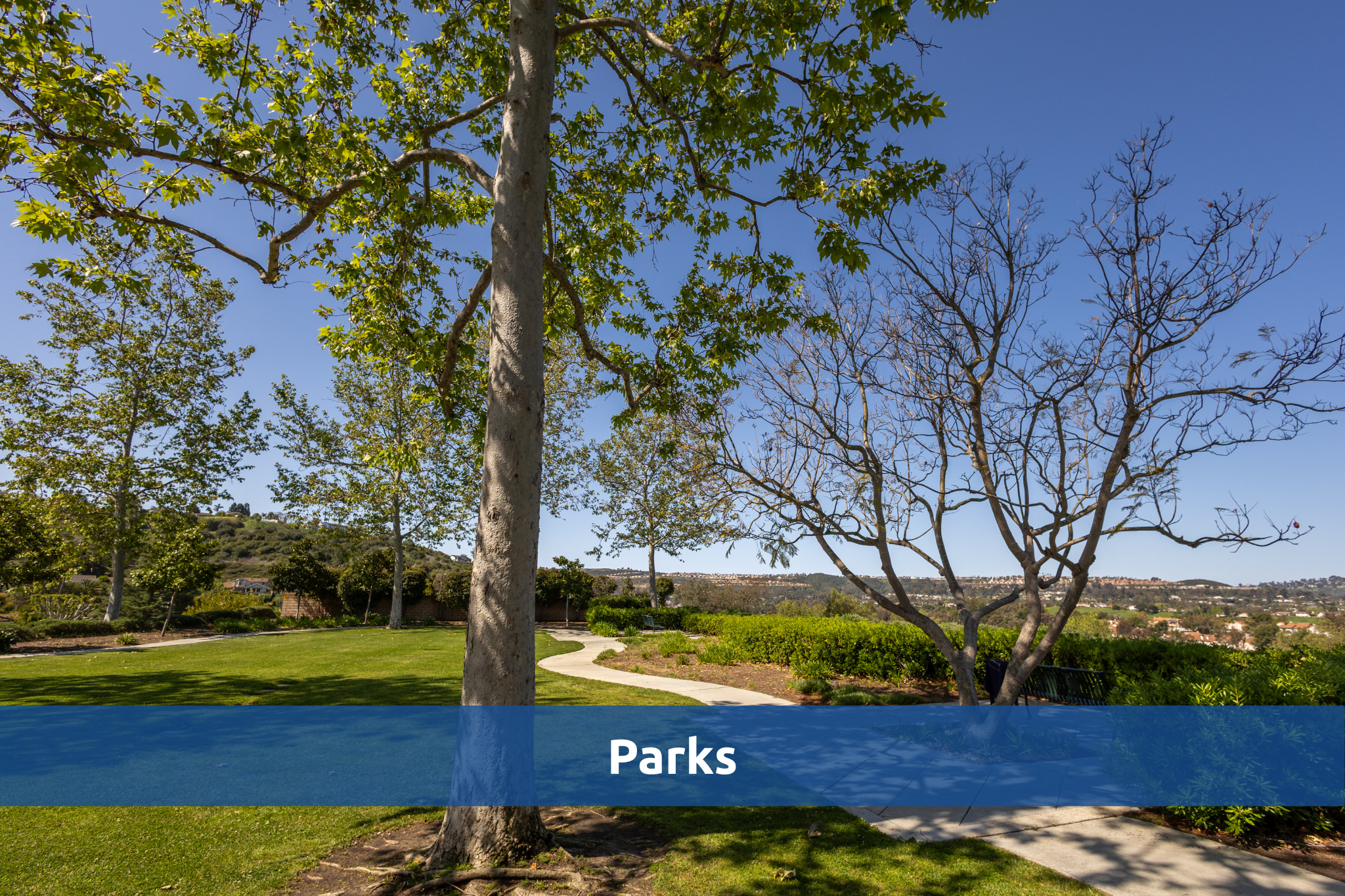 City of Laguna Niguel public park with grass and trees in color