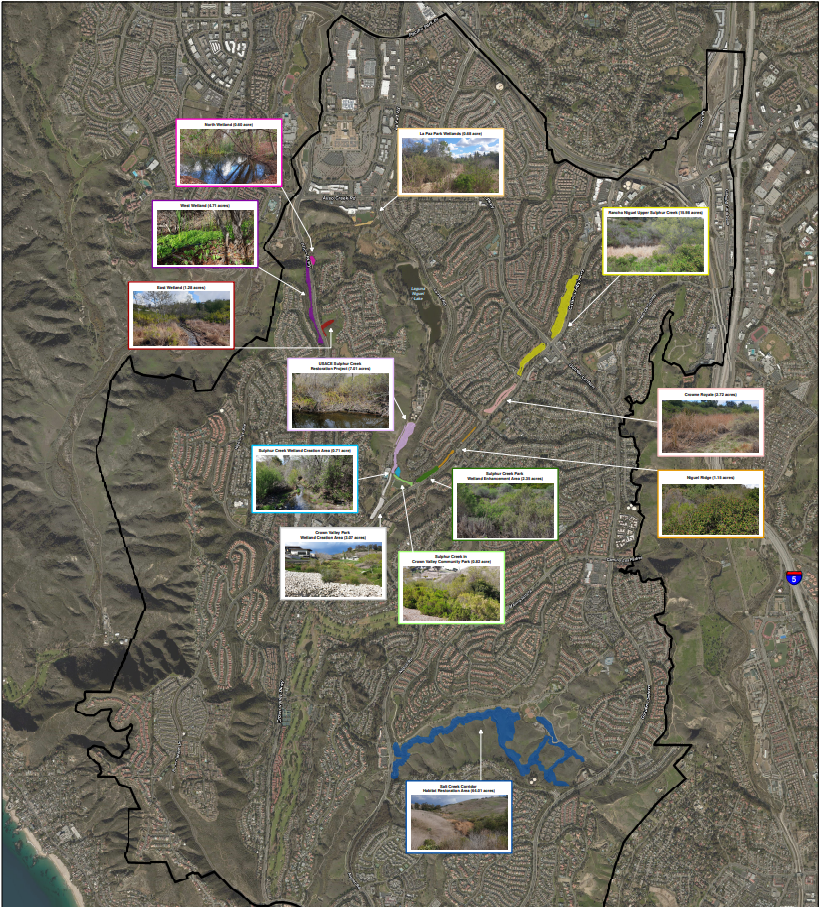 Interactive Wetlands Website