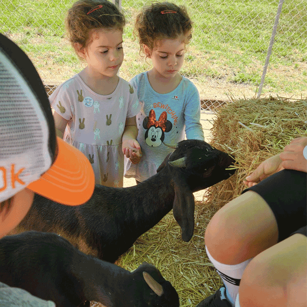 Meet-the-Goats-Event