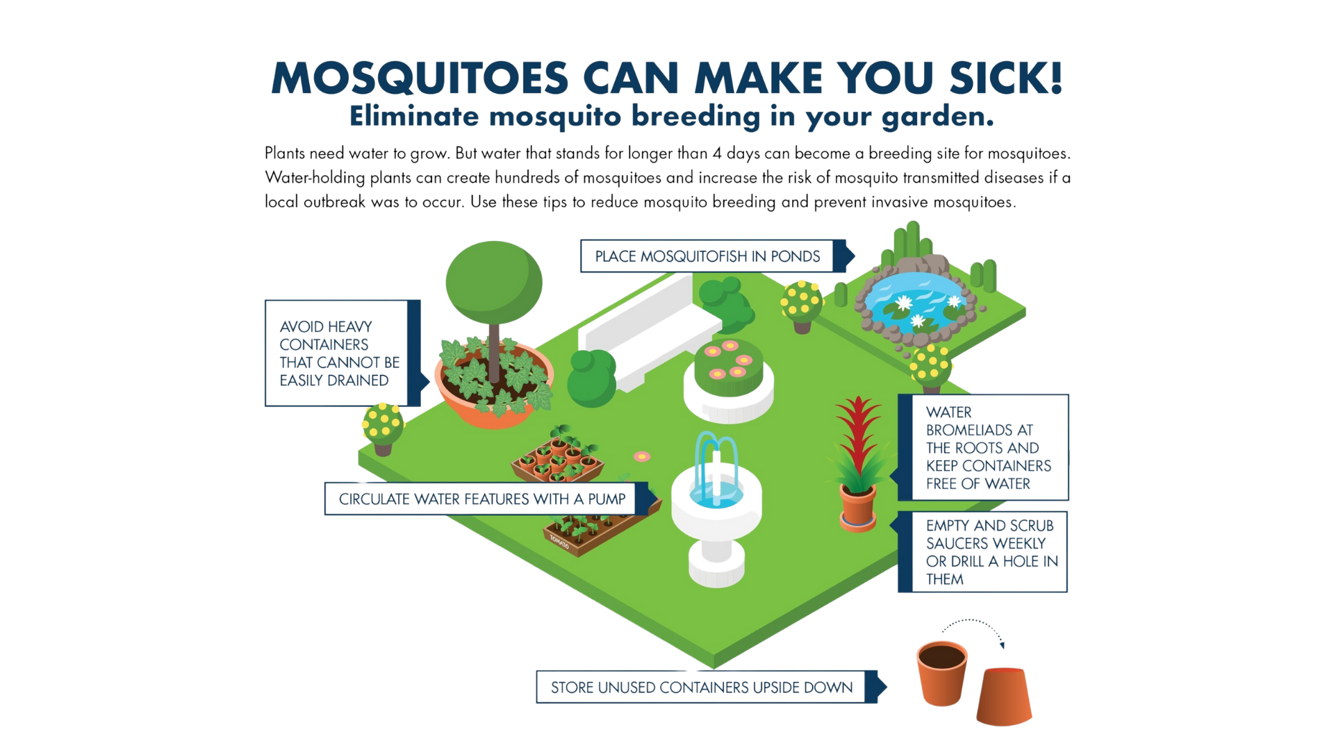 Illustration of a garden showing tips to prevent mosquito breeding