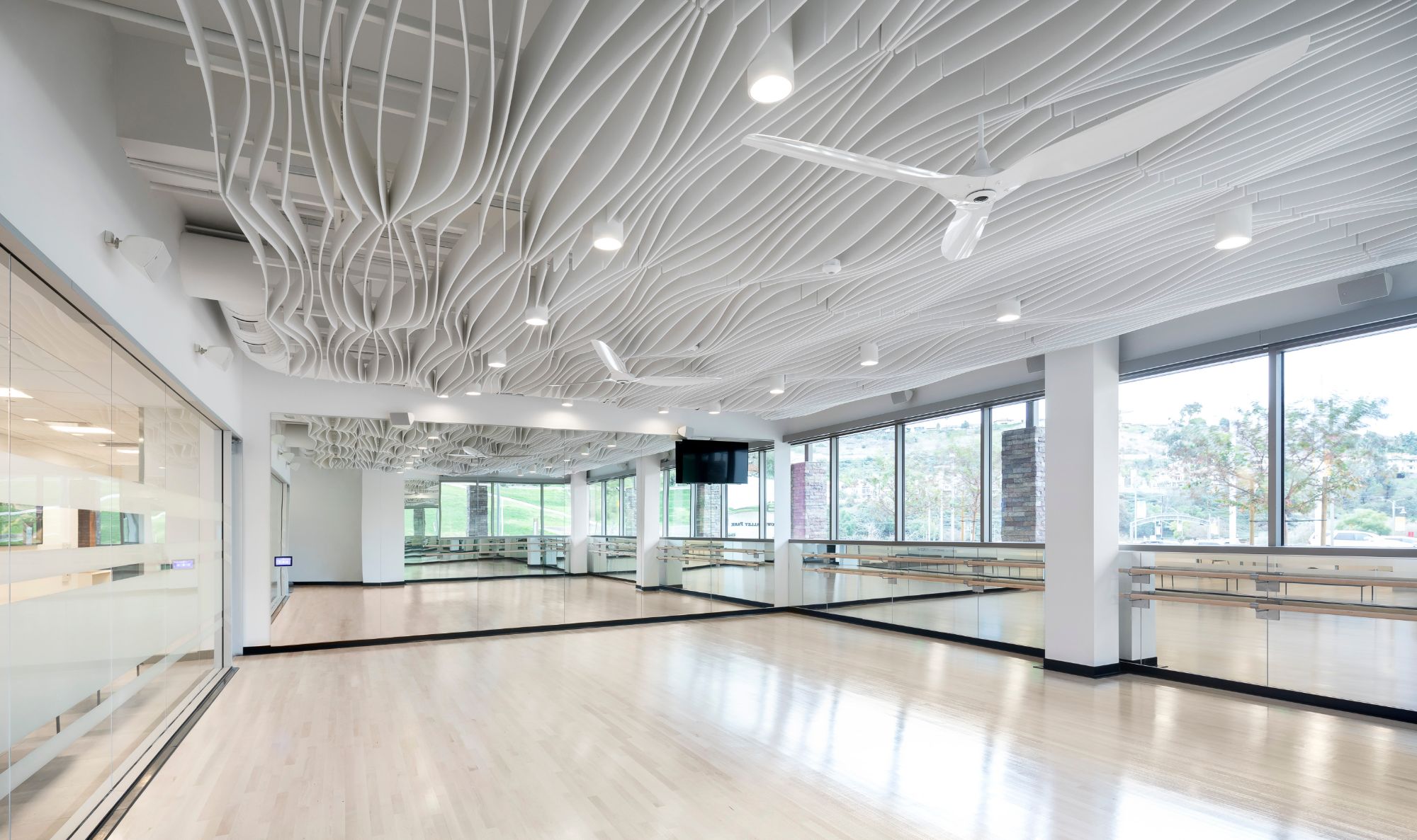 Live Well Dance Room 